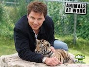 Студия Ю7 расскажет о зверских профессиях