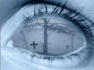 В новом сезоне К1 покажет 4 собственных проекта