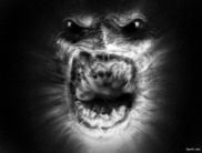 Fresh Production UA снимает цикл передач «Прихована реальність» для прайма на К1