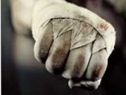 Телеканал «Украина» соберет молодых боксеров в проекте по формату NBC