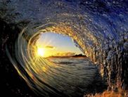 Телеканал «Украина» покажет «Новую волну» с Тони Брекстон и Земфирой