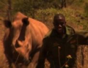 Хроники африканского заповедника от Студии Ю7