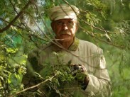 Михалков взялся за экранизацию Бунина