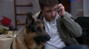 Премьера! Расследования ведет "Лорд. Пес-полицейский"