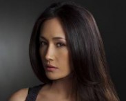 Звезда сериала "Никита" утверждена на роль пиратки