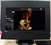 Новые детали о 3D мониторе EIZO DuraVision FDF2301-3D, который не требует очков