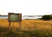 осударственная дотация в частный телебизнес?