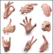 Телеканал «Жест» начнет полноценное вещание в Беларуси 24 января