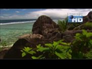 В список адаптированных внесли два HD-канала