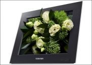Toshiba покажет на CES 2011 3D-телевизоры нового типа