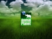 BBC Worldwide уступила Discovery свою долю в Animal Planet BBC Worldwide уступила Discovery свою долю в Animal Planet