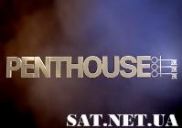 Penthouse HD станет доступным у французских операторов