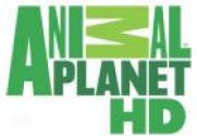 Когда Animal Planet HD появится в составе наибольших спутниковых платформ Европы?