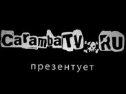 «Видеоблохи» выпрыгивают на ТВ