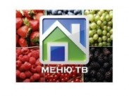 Телеканал Курченко в суде отстоял право на спутниковую лицензию